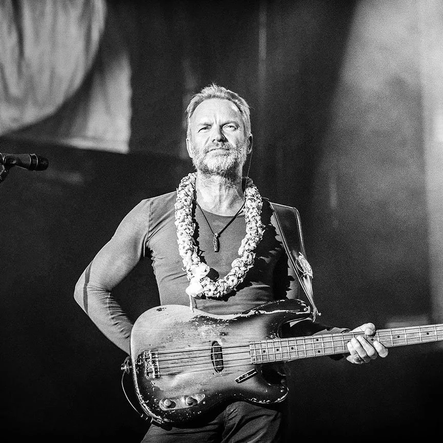 Sting3.jpg