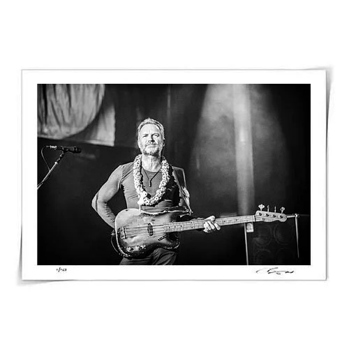 Sting2.jpg