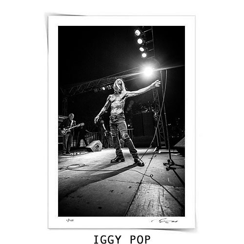 Iggy Pop - Fine Art Print