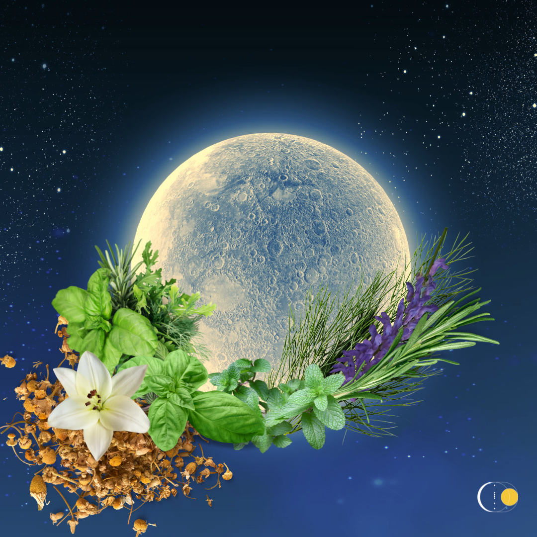 Full Moon in Virgo