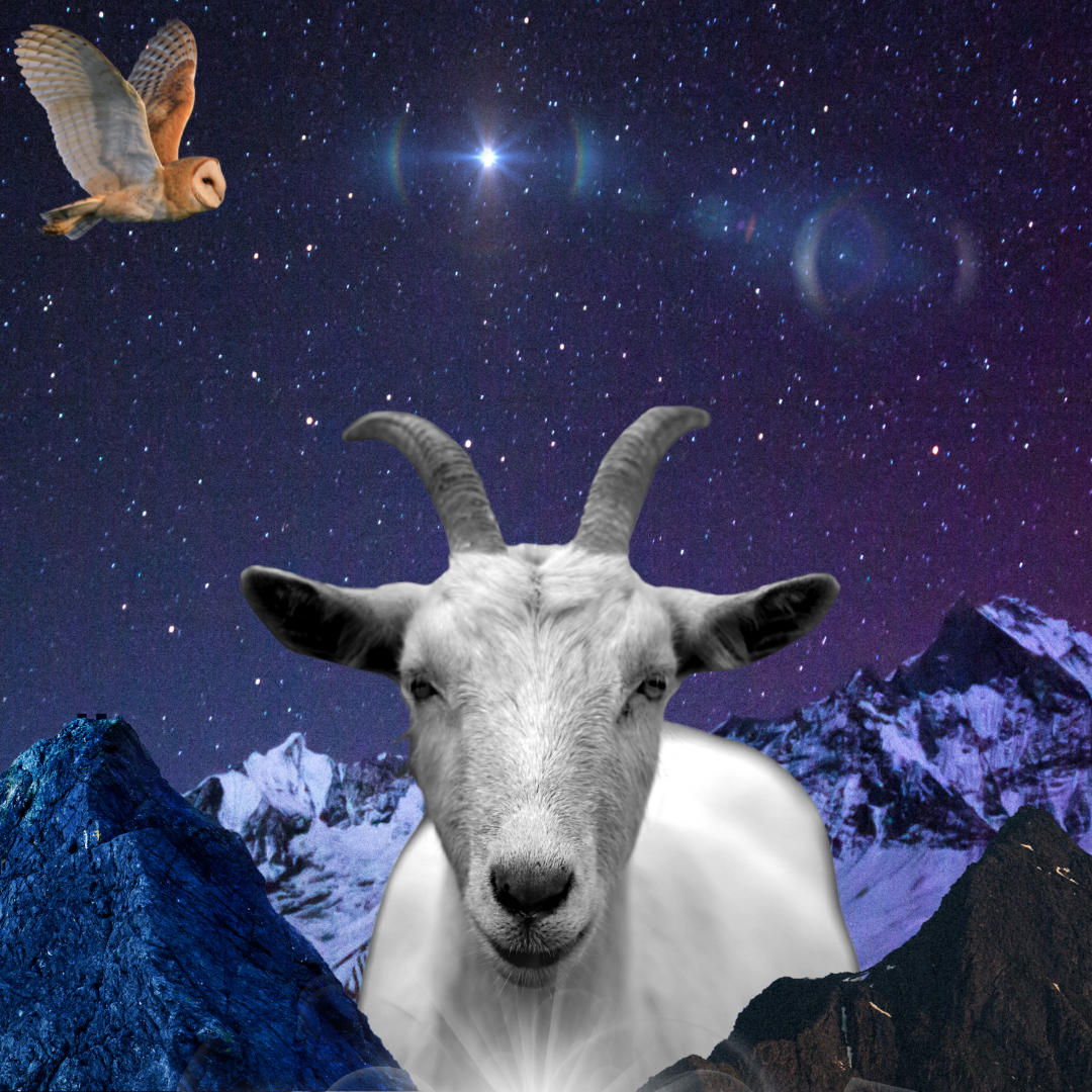 New Moon in Capricorn