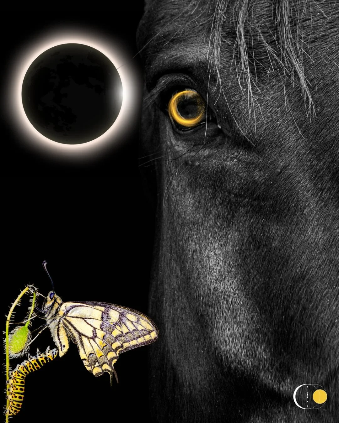 SOLAR ECLIPSE IN AQUARIUS 
Chrysalis of Light

This&nbsp;New Moon Eclipse&nbsp;arrives with electricity in the air. The Sun and Moon meet in Aquarius at the anaretic degree, the final 29th degree of the sign. An anaretic New Moon carries urgency. It 