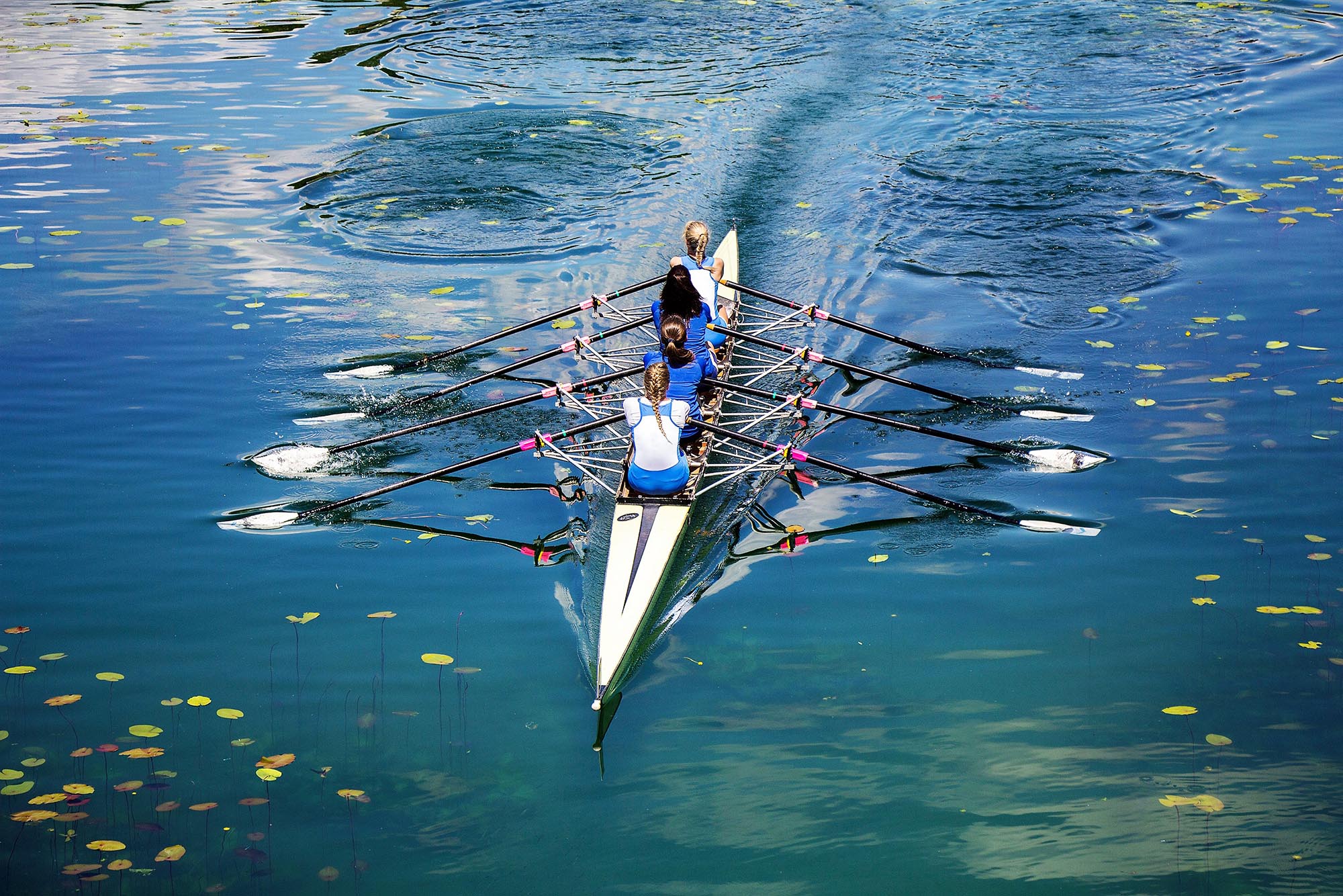 Back-Bay-Leadership-Performance-Coaching.jpg