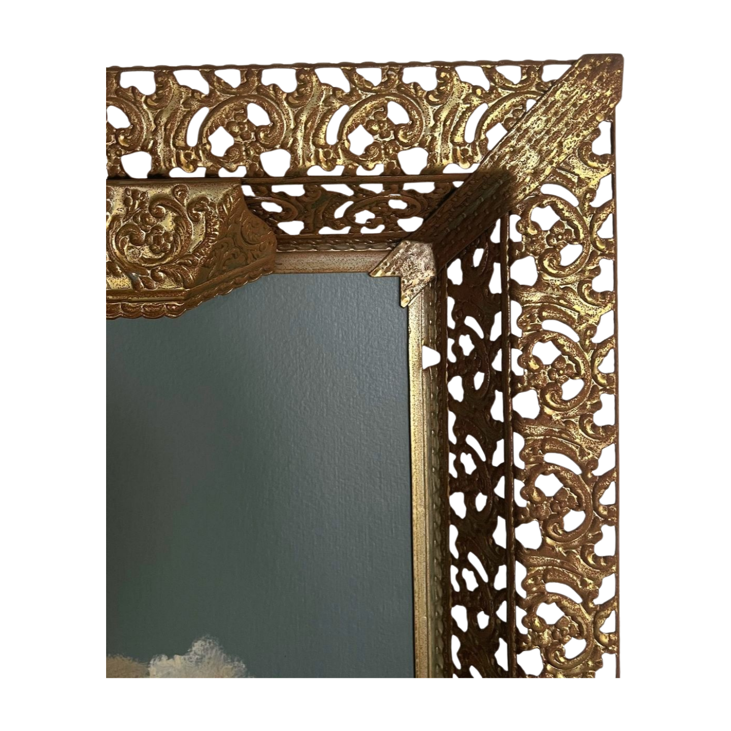 White_Background - IMG_3330.PNG