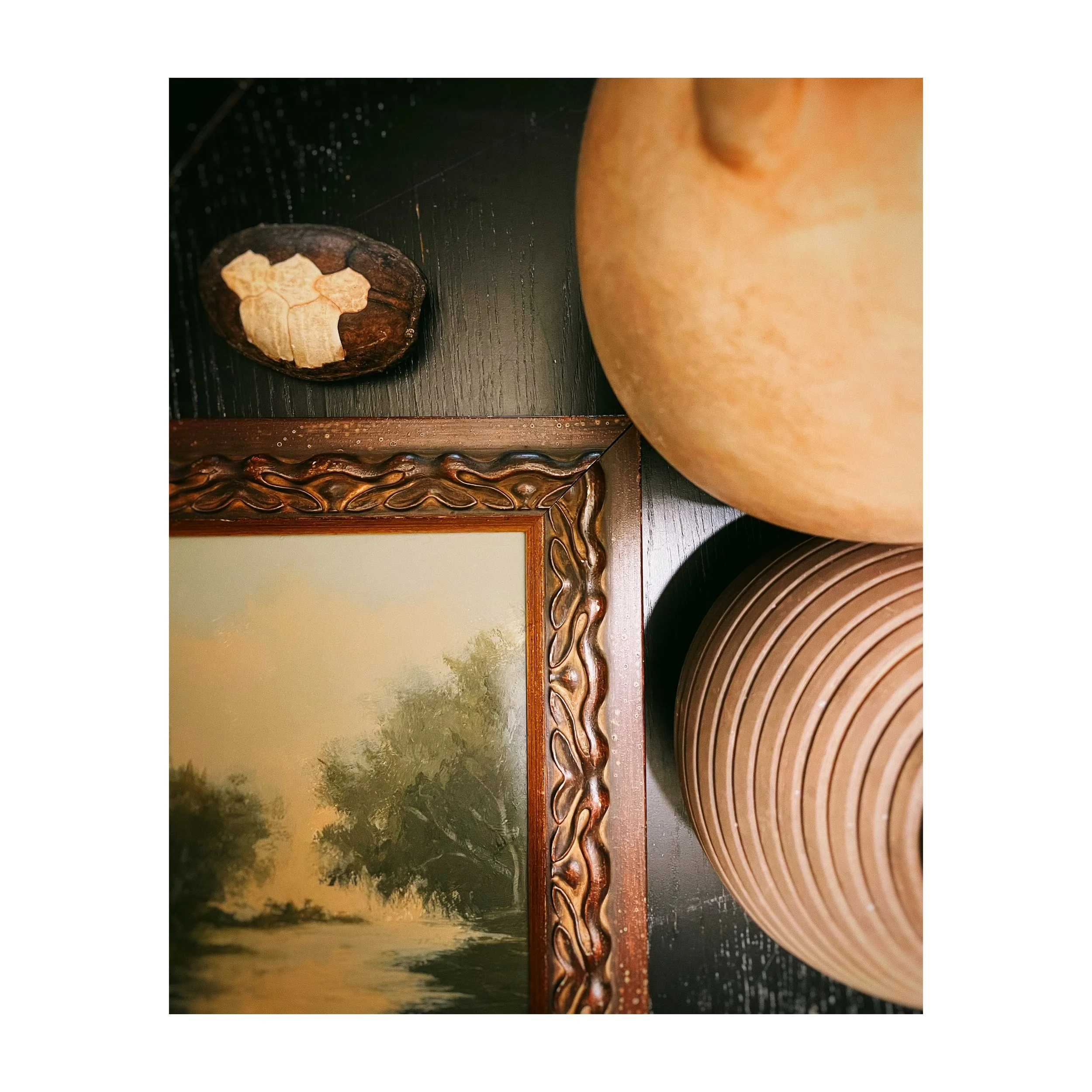 collage_export_F543E90F-4477-4136-81B8-0E8BC10A3FCE.JPG