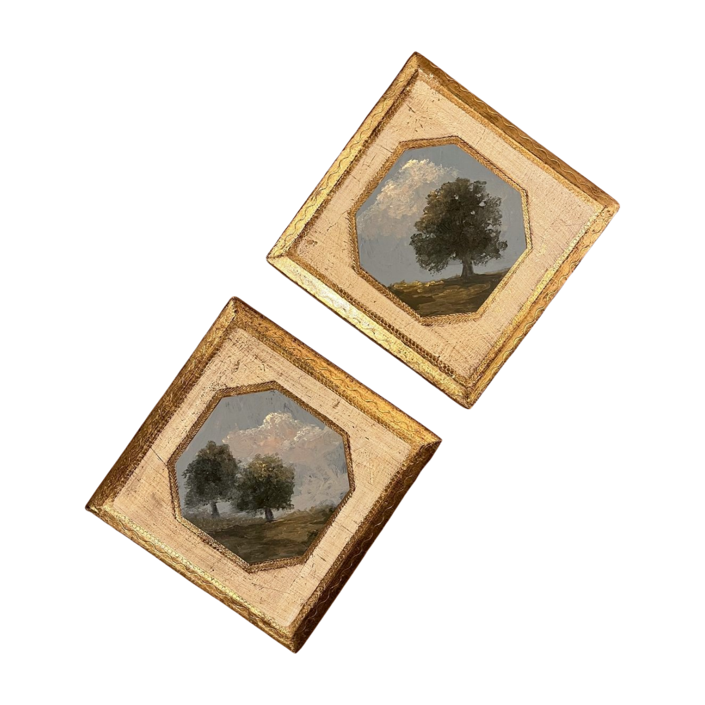 White_Background.zip - IMG_1453.PNG