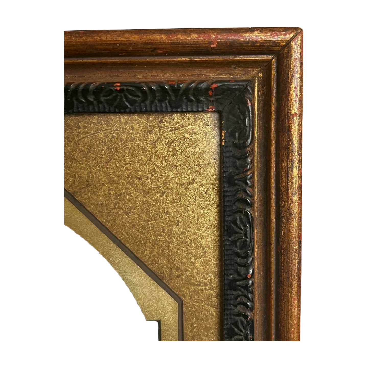 White_Background - IMG_3318.PNG