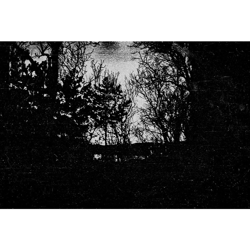 Stunning photography by Sashko Ilov is available in our unique art store.