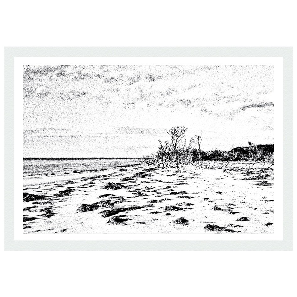 Stunning photography by Ceci Temkova is available in our unique art store.