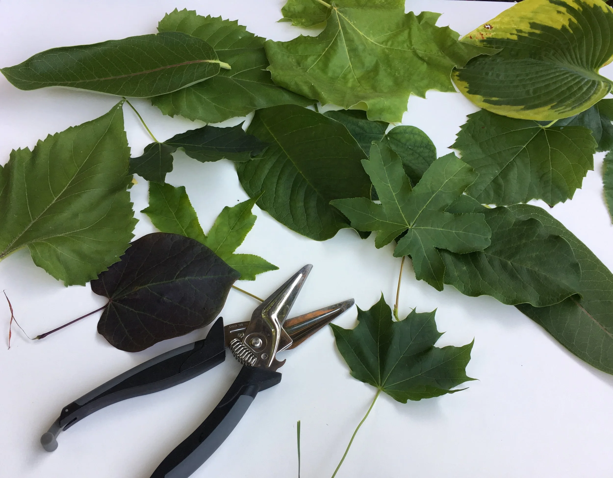 Spatial Relationships 