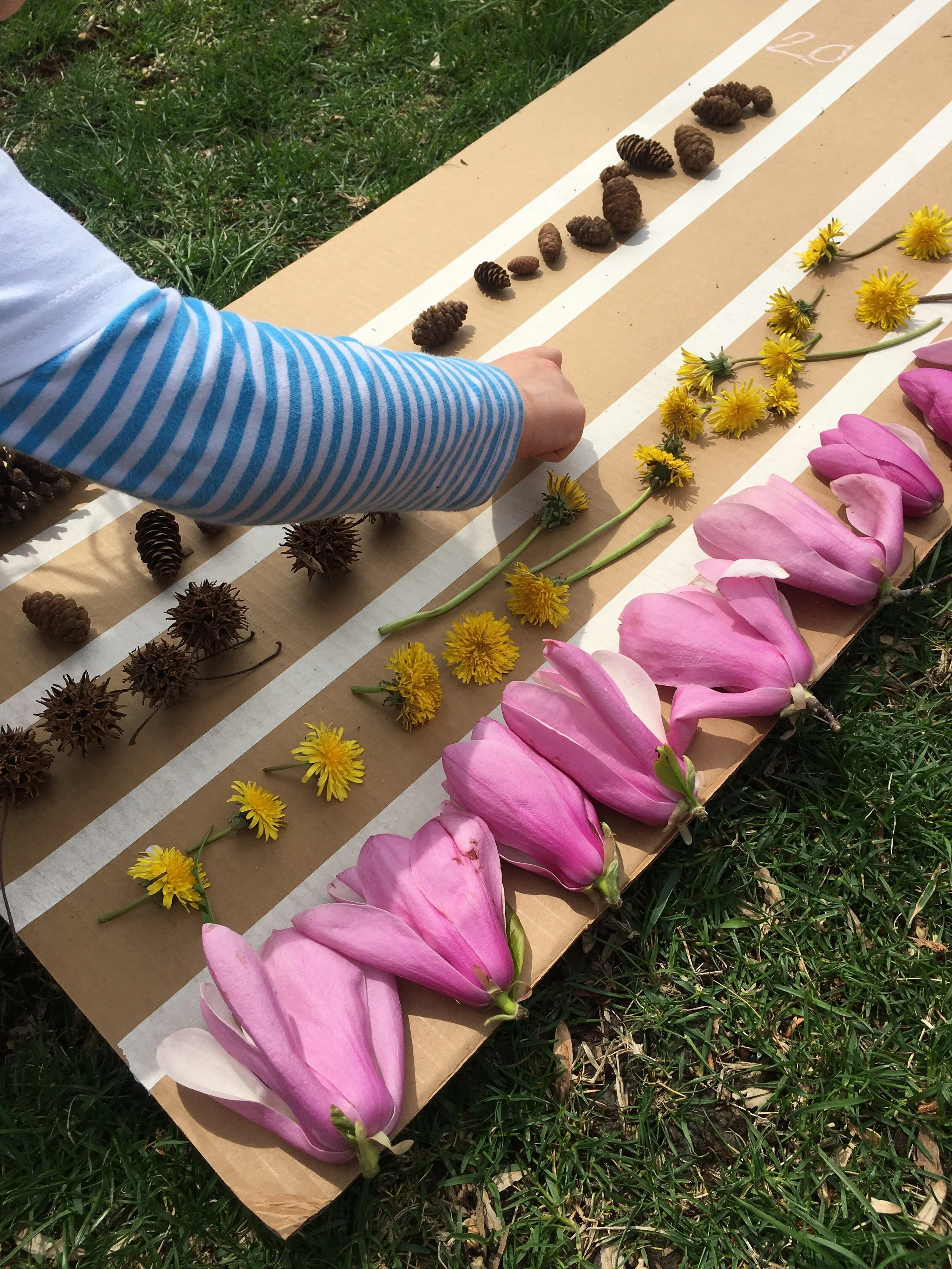 Gather, Sort, Compare