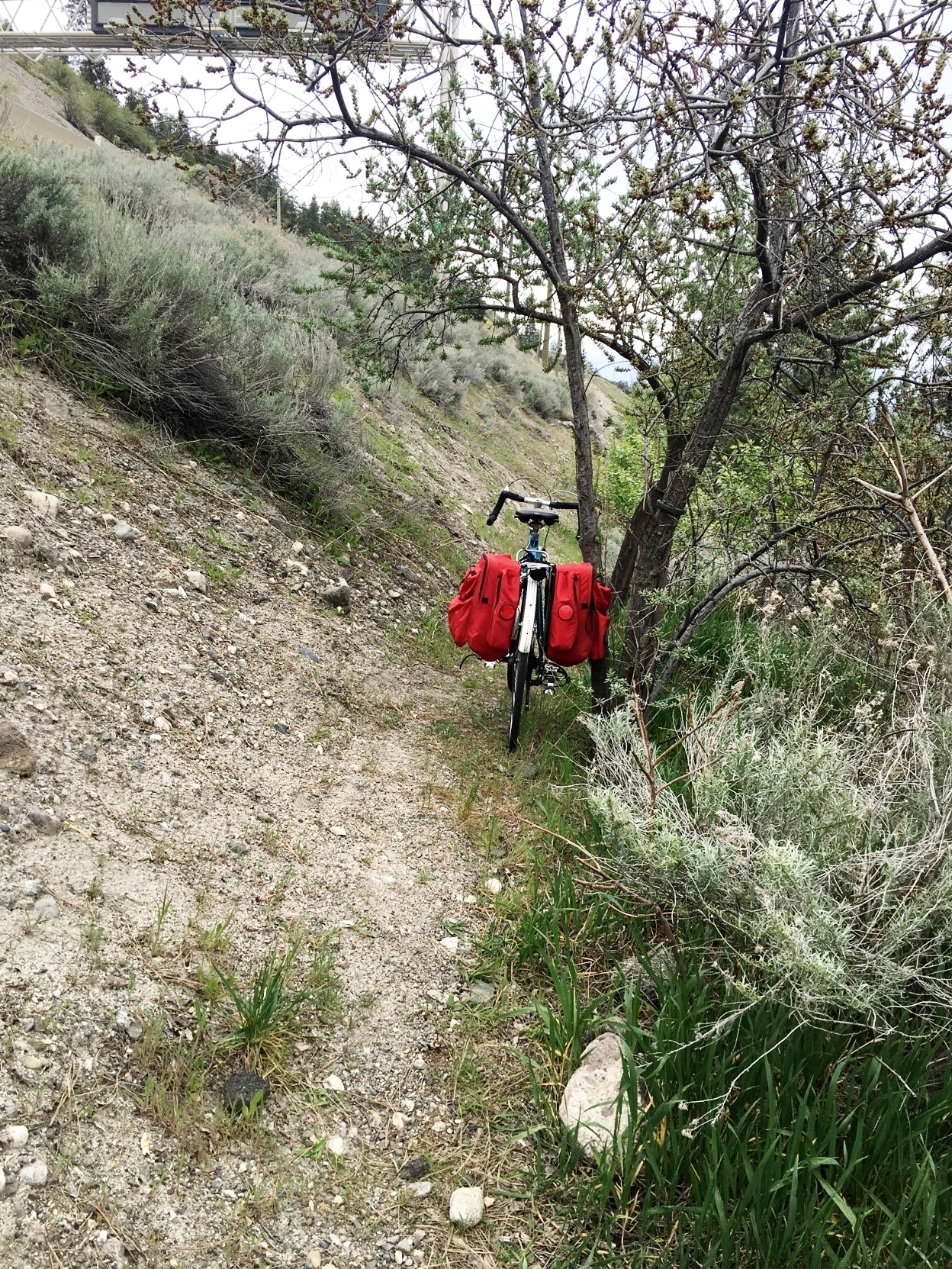 lindainterviewbikehike.jpg
