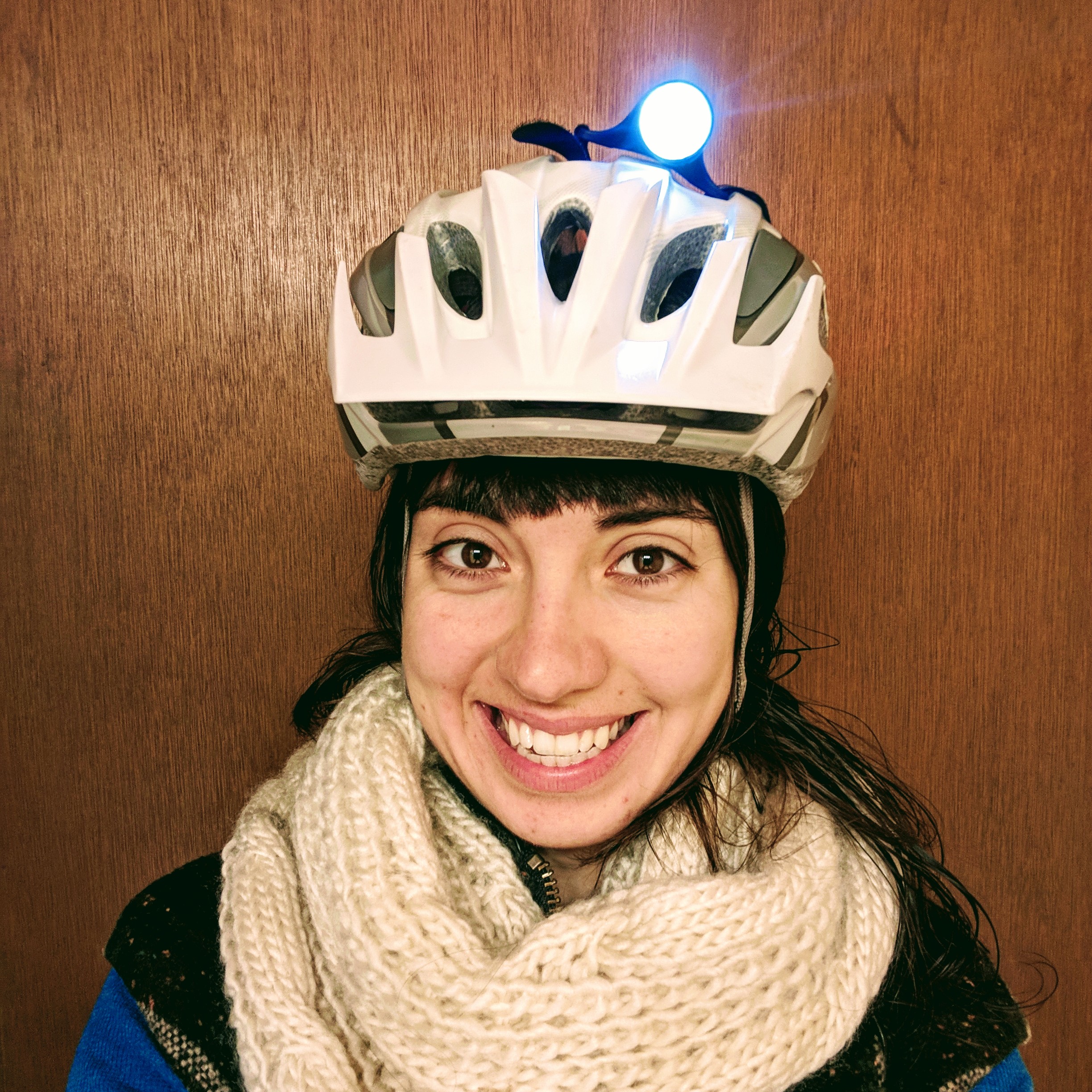 seattlebicyclewintercommutesafety.jpg