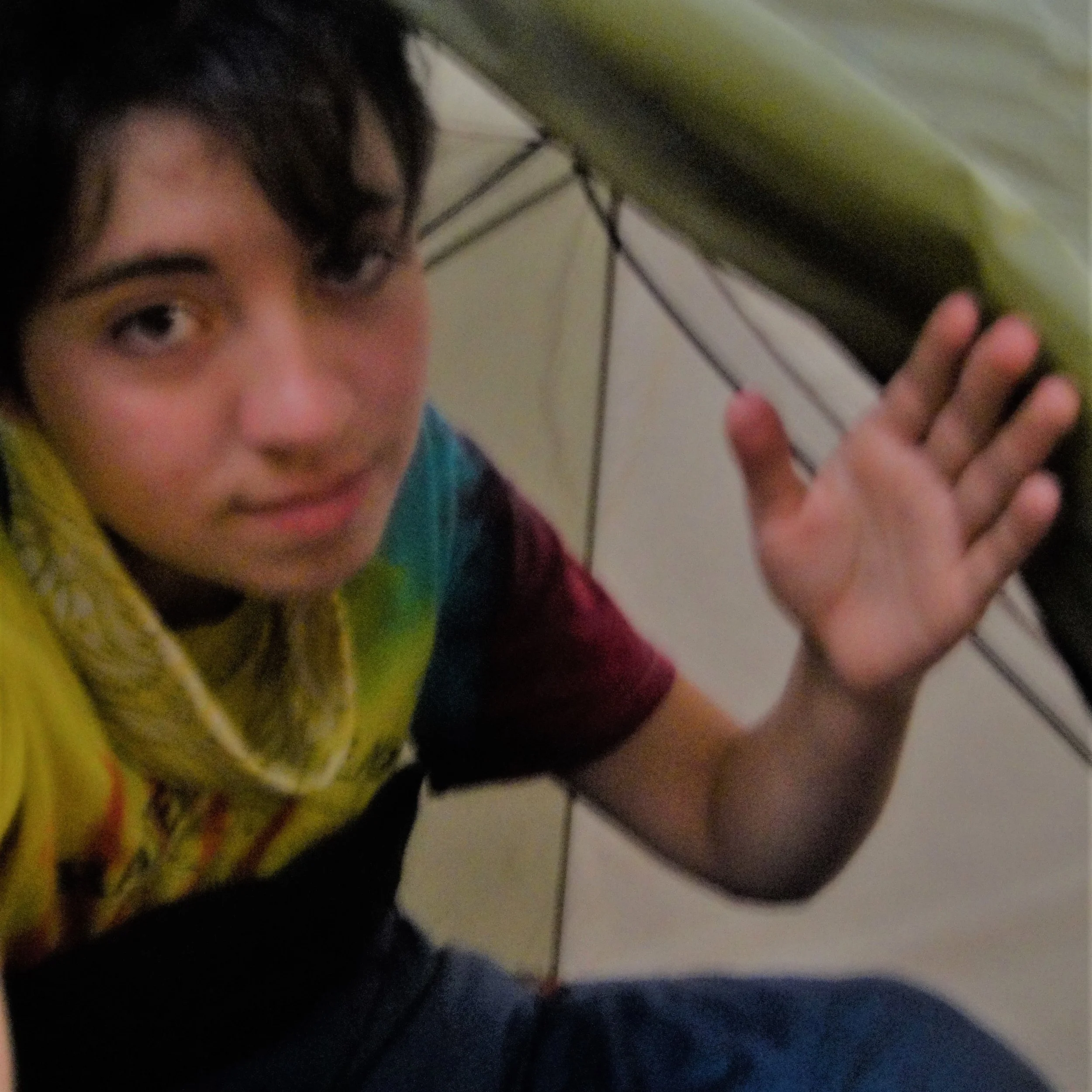 wakingupalivecrop.jpg