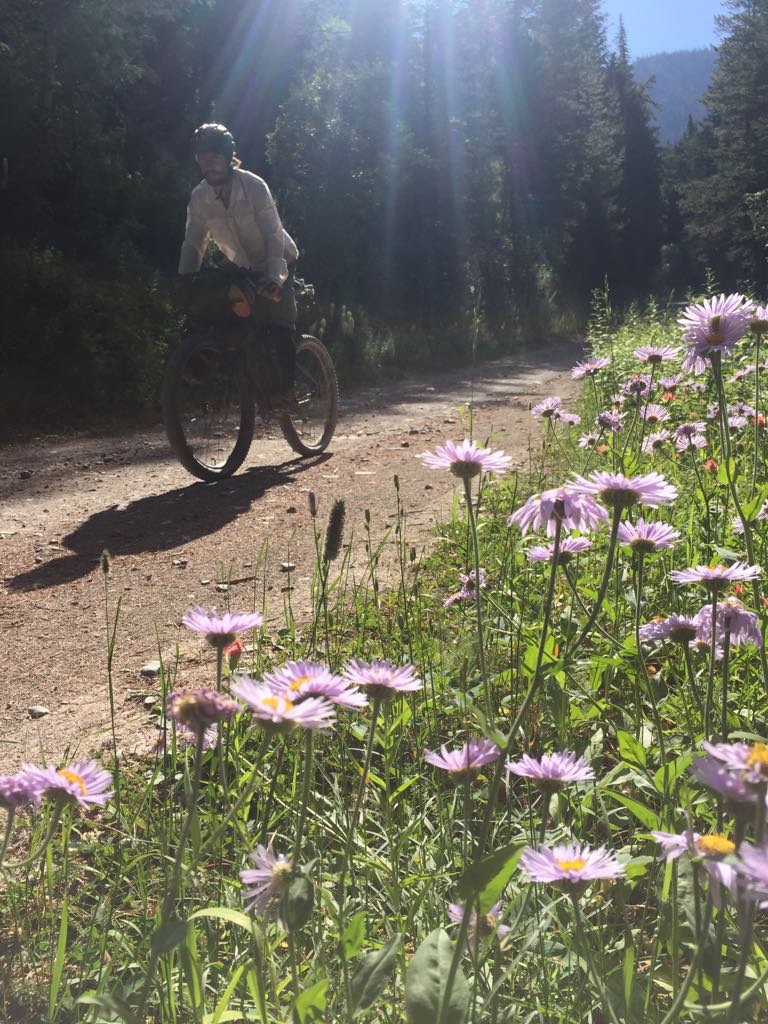 EmilyDellBikepackingMontana.jpg