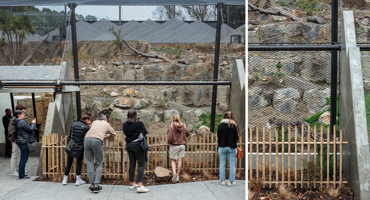 Local_Landscape_Architecture_Zoo_Snow_Leopards_Viewing area.jpg