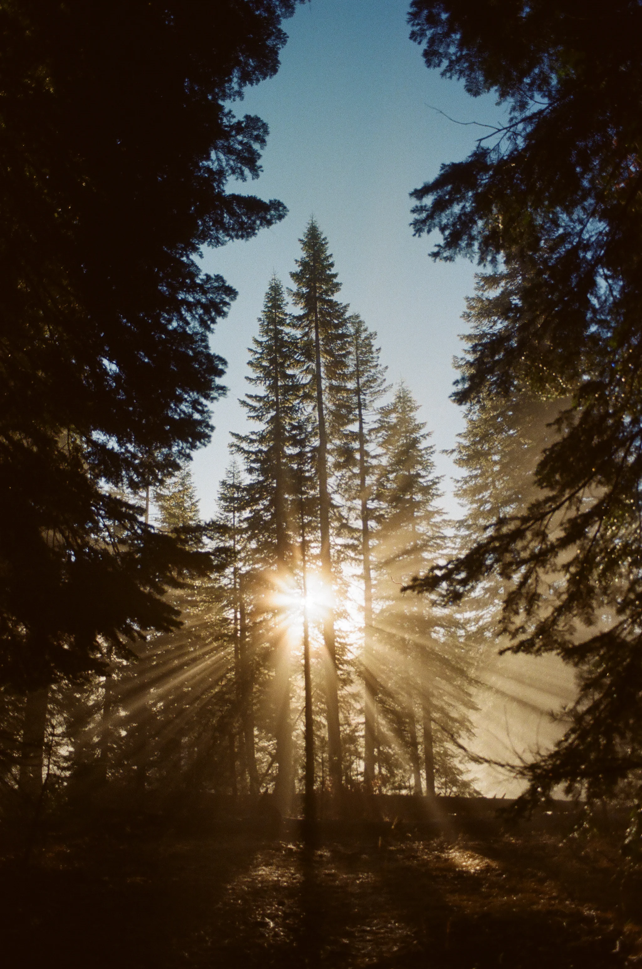 Yosemite -32.jpg