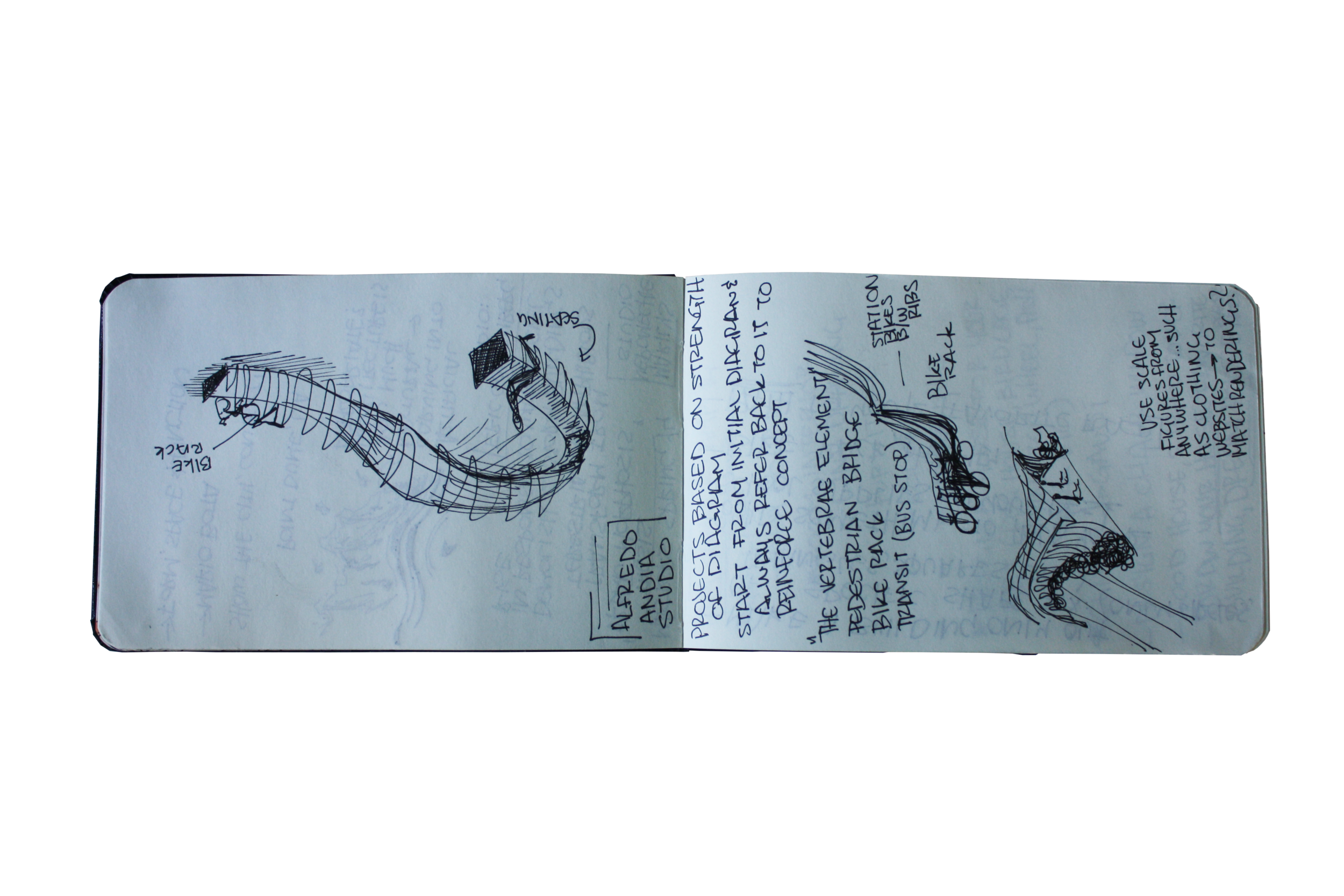 IMG_5900.png