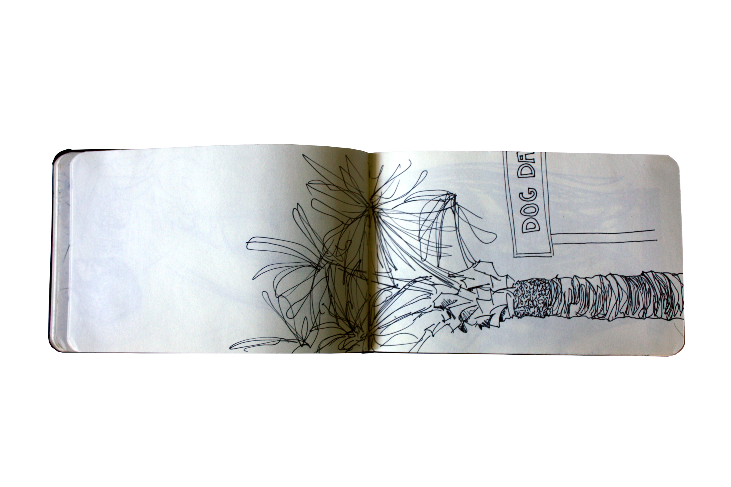 IMG_5906.png