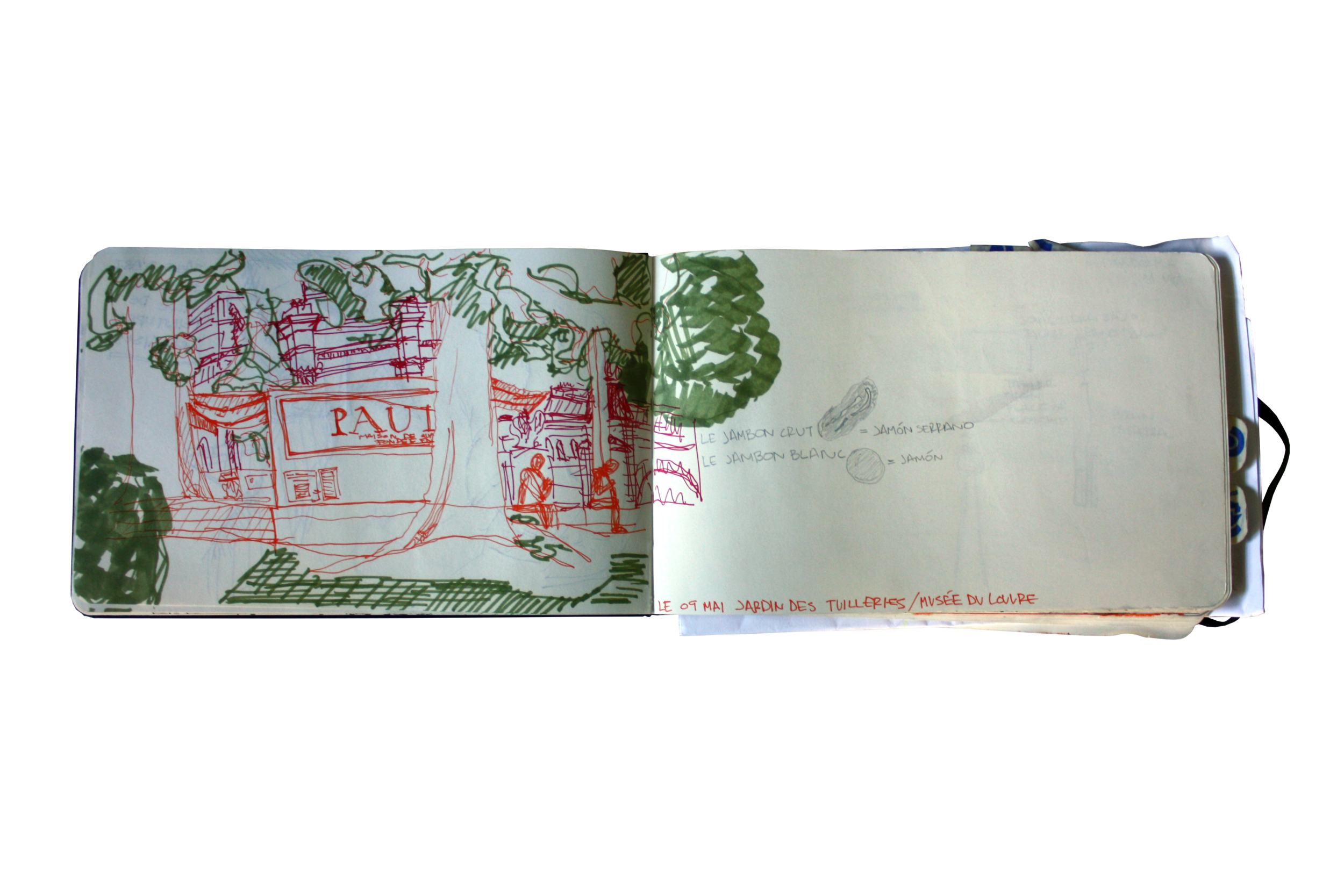 IMG_5966.png