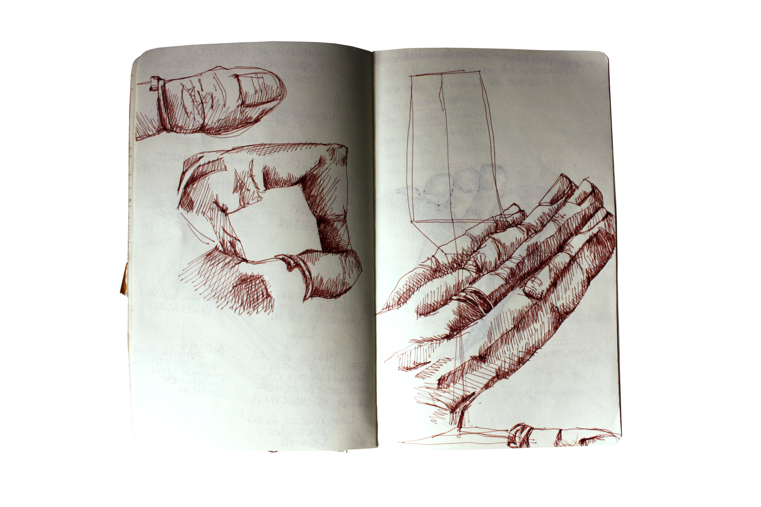 IMG_6050.png