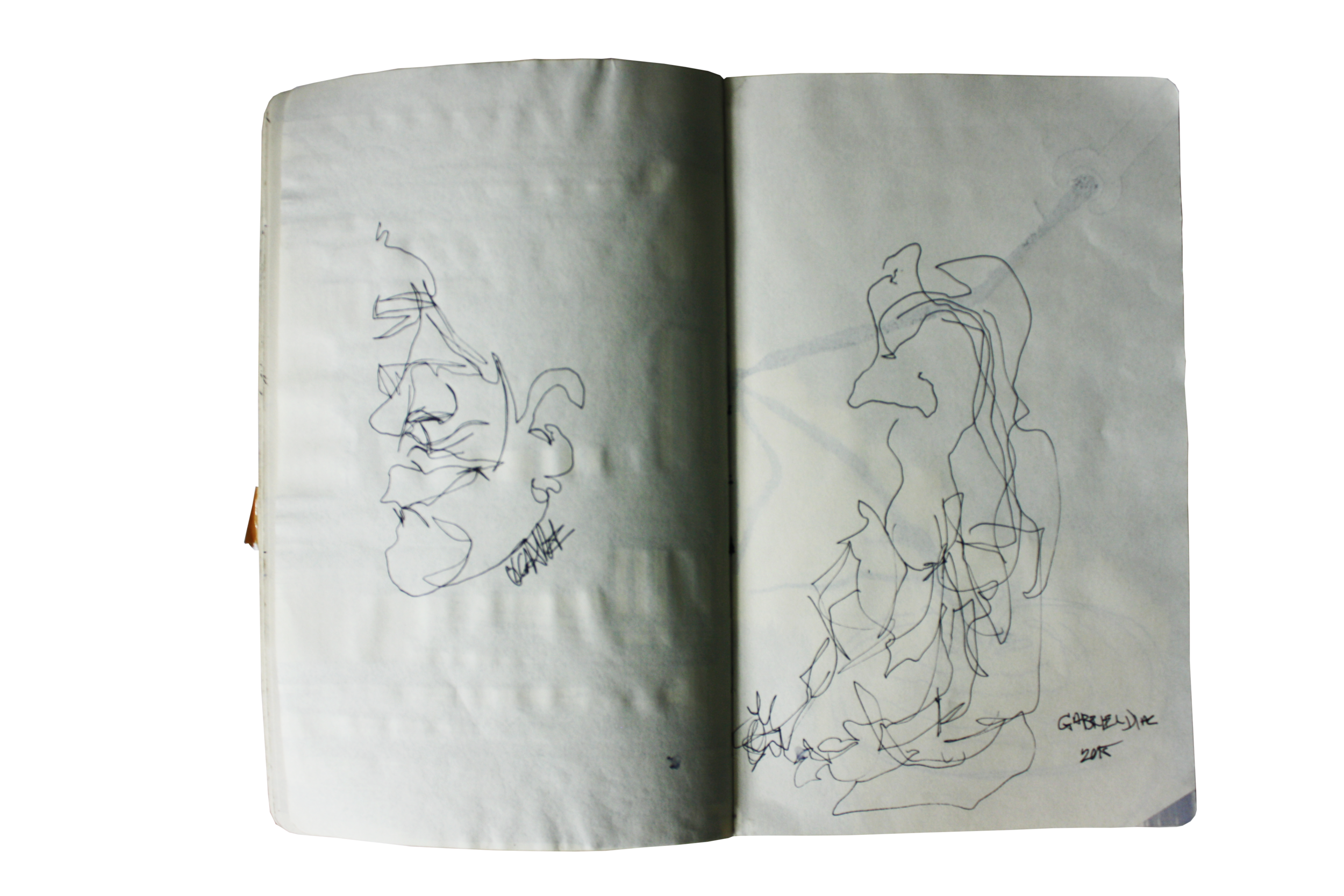 IMG_6067.png
