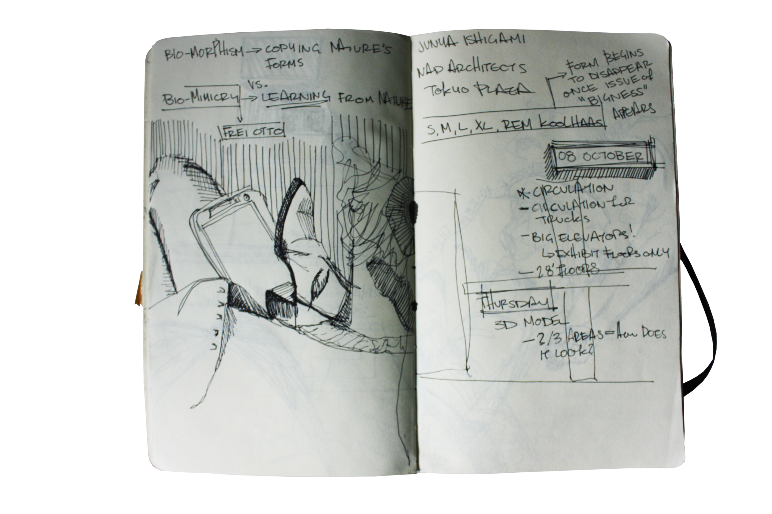 IMG_6070.png