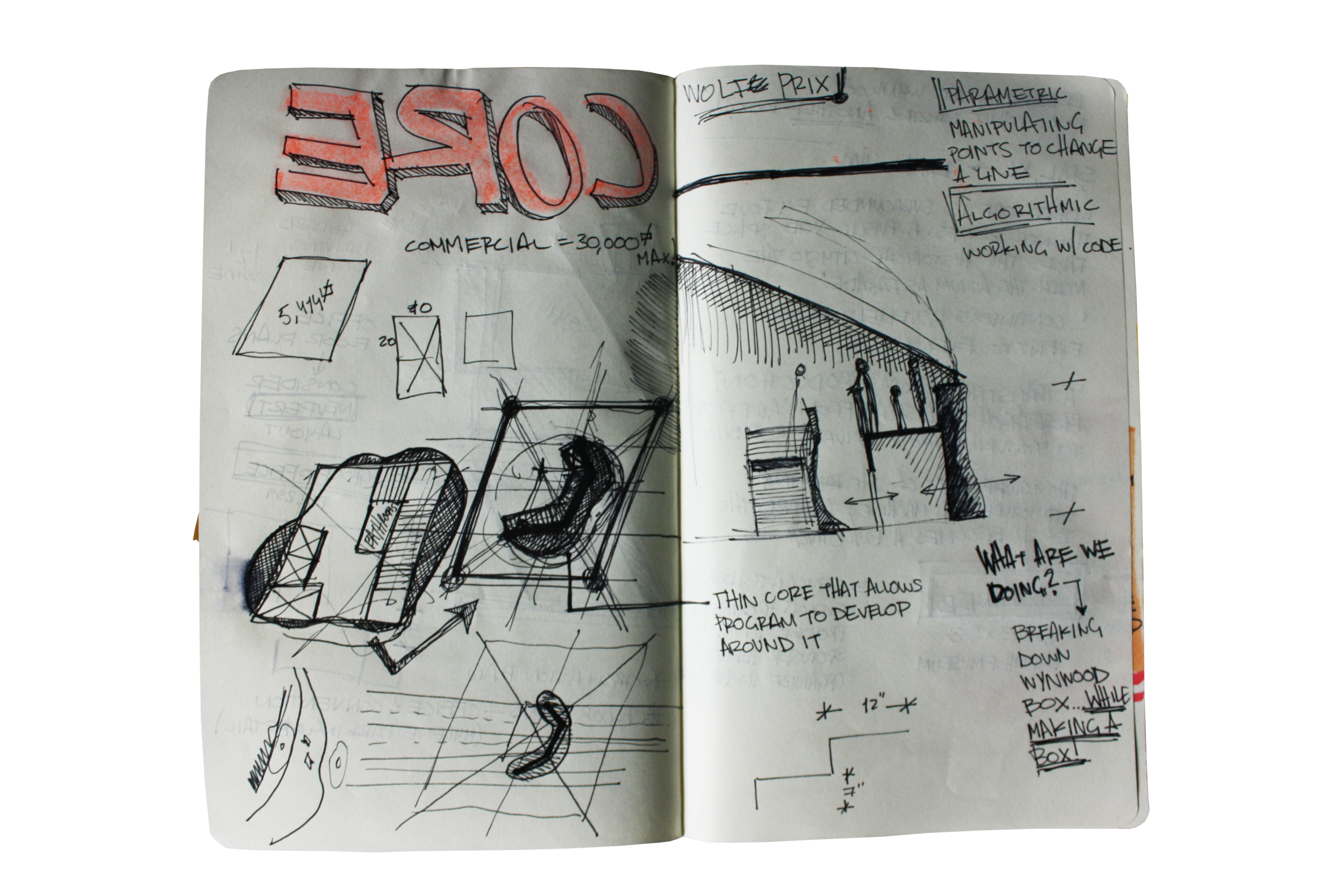 IMG_6078.png