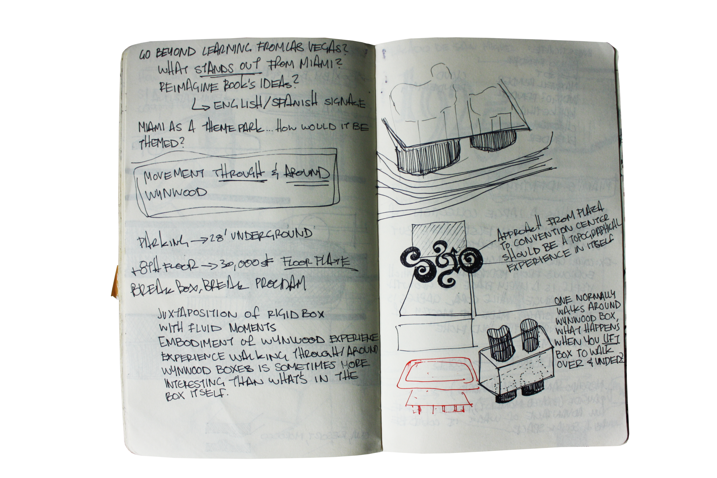 IMG_6080.png