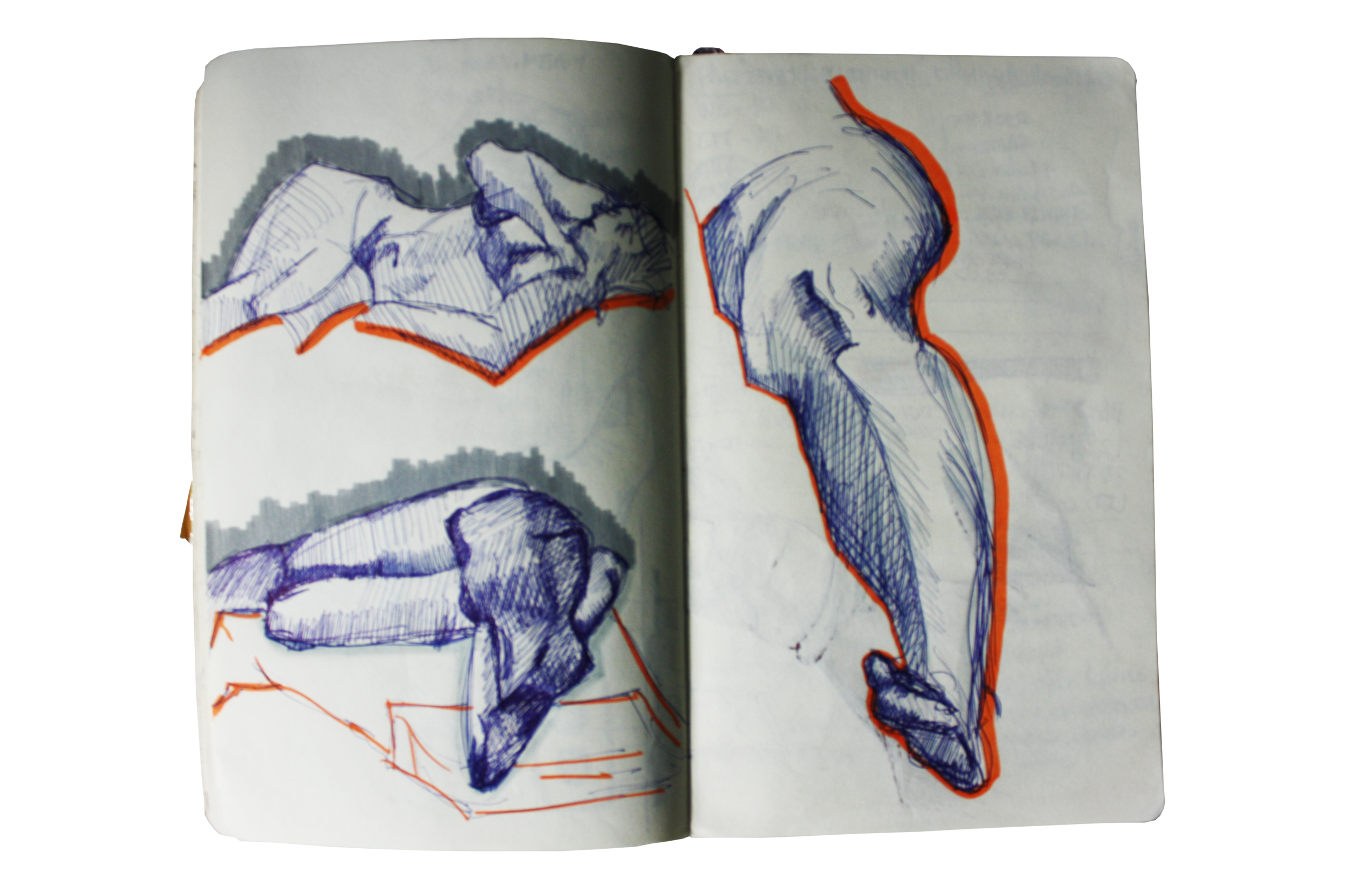 IMG_6094.png