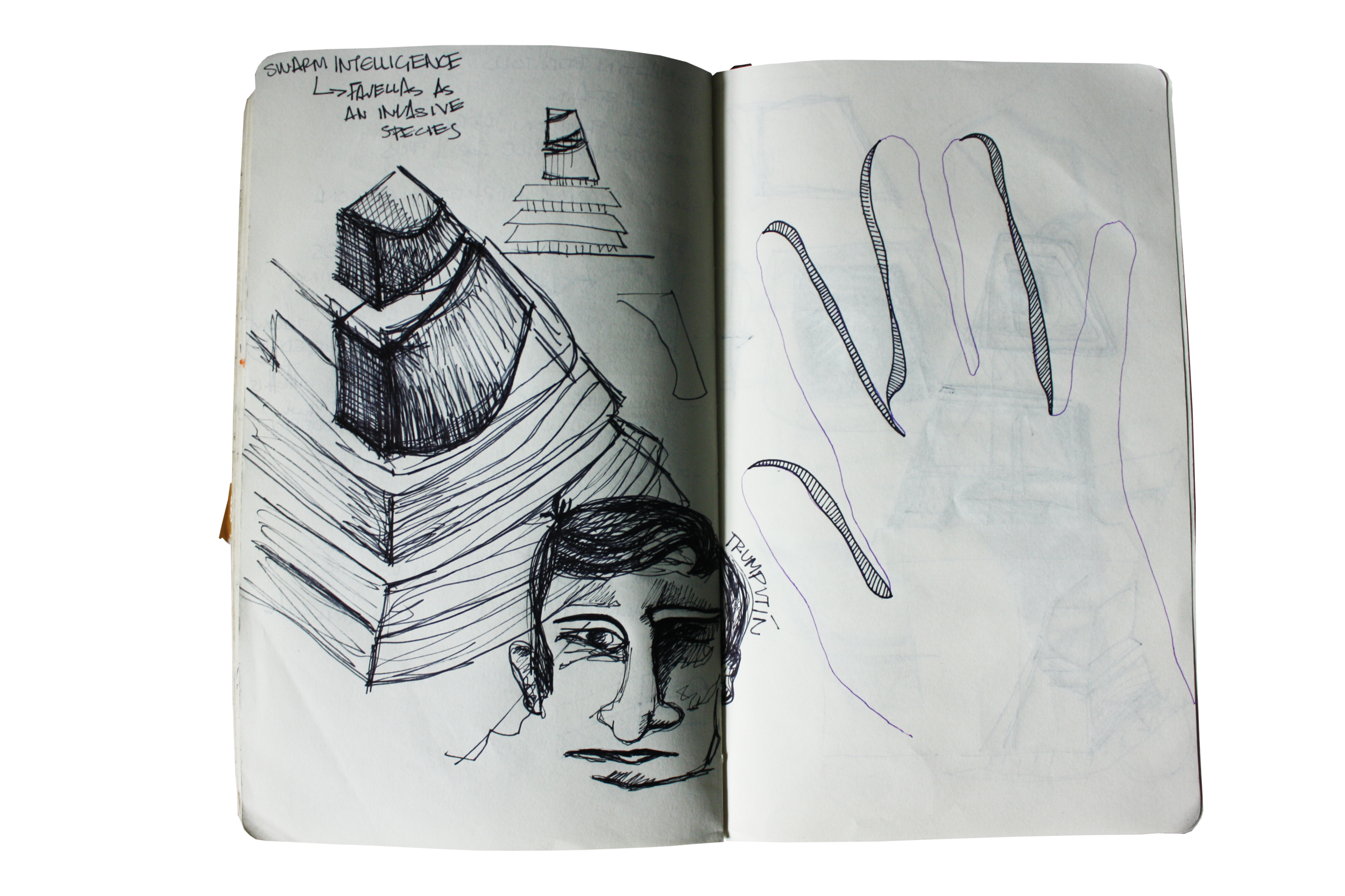 IMG_6100.png