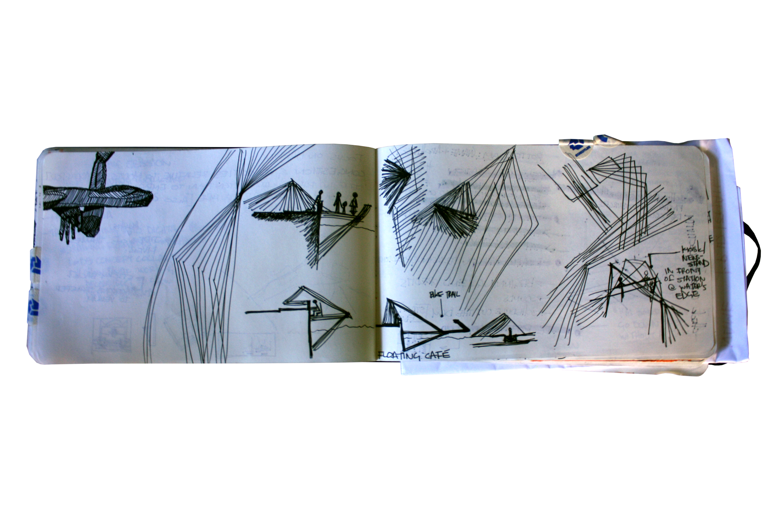 IMG_6003.png