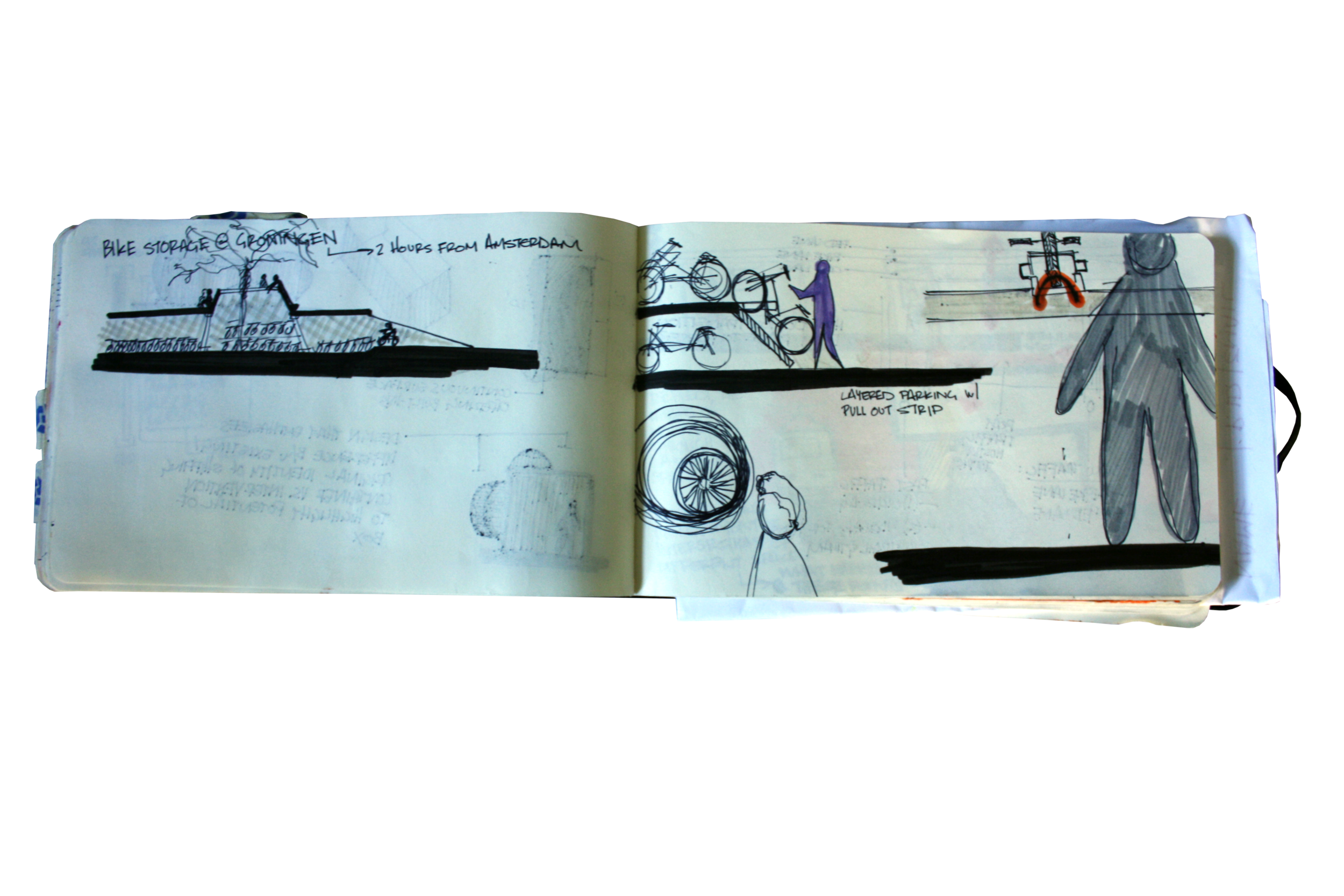 IMG_6015.png