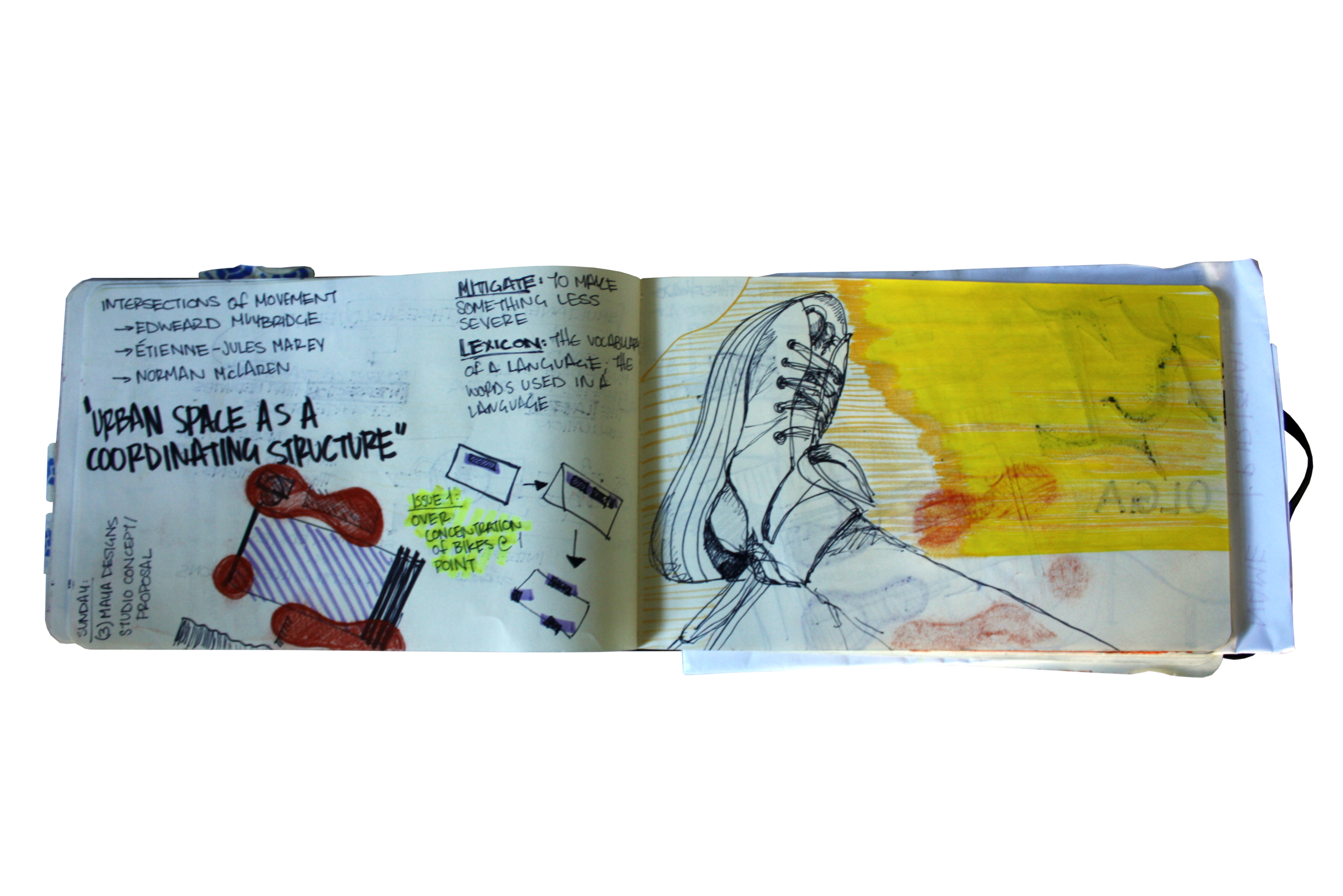 IMG_6019.png