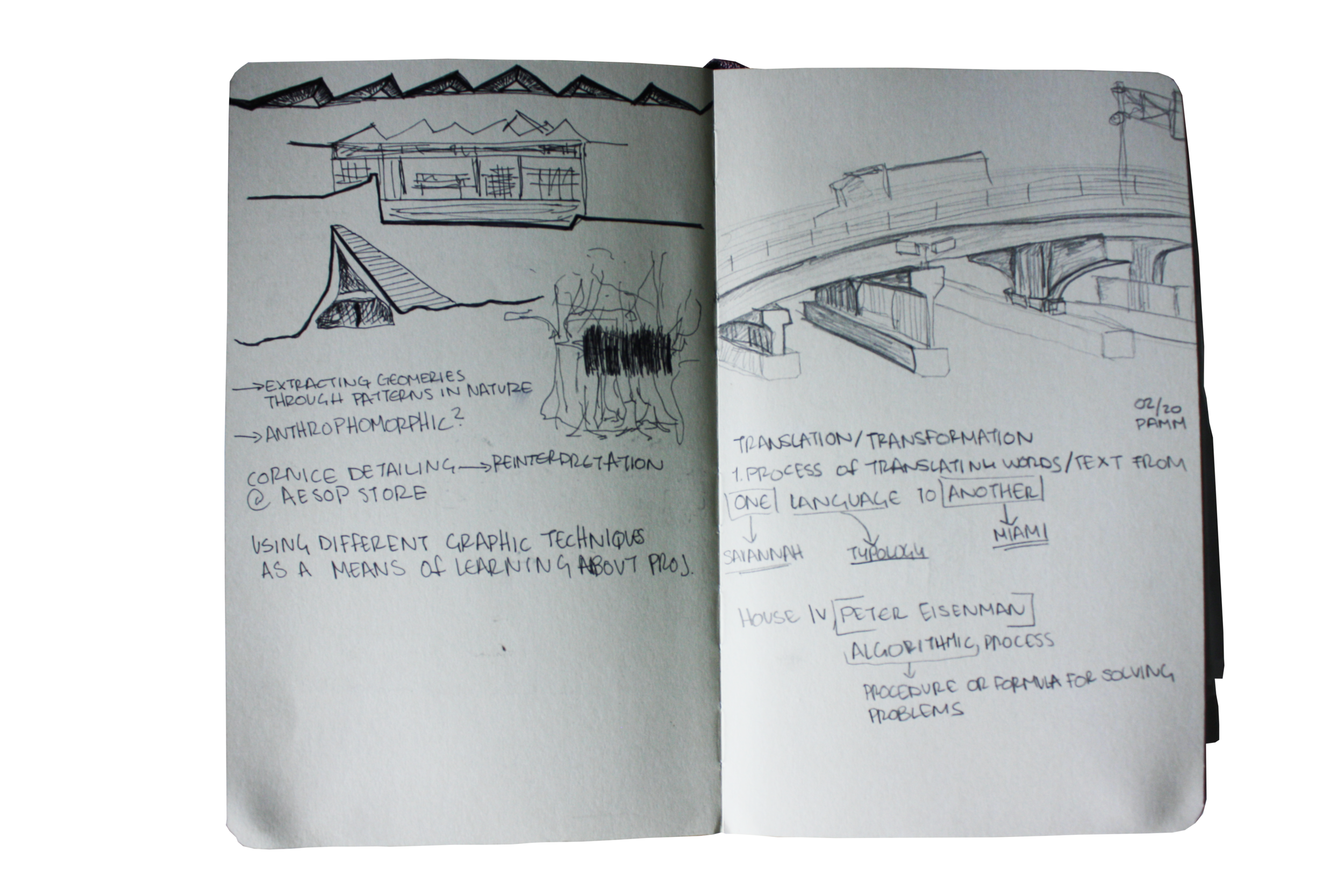 IMG_6224.png