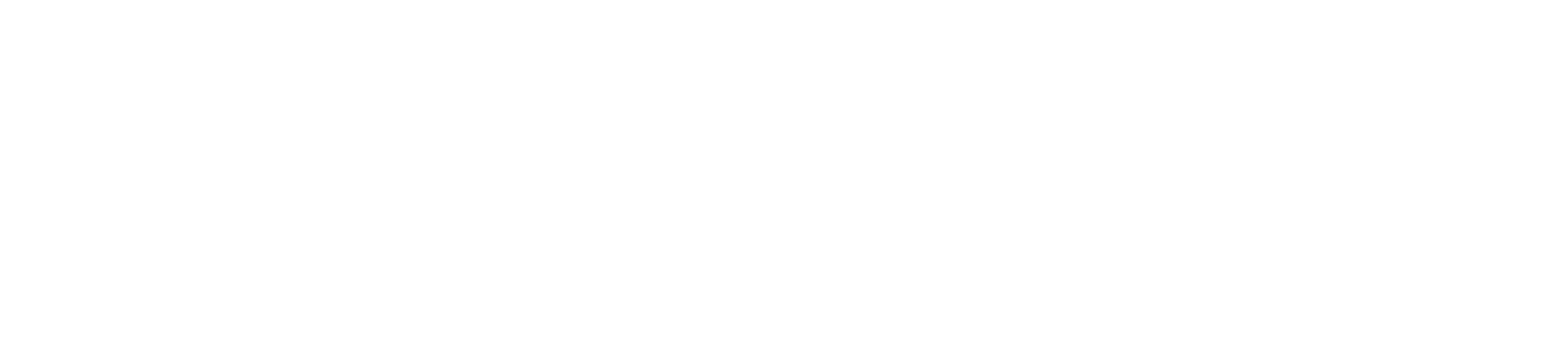 Met Council