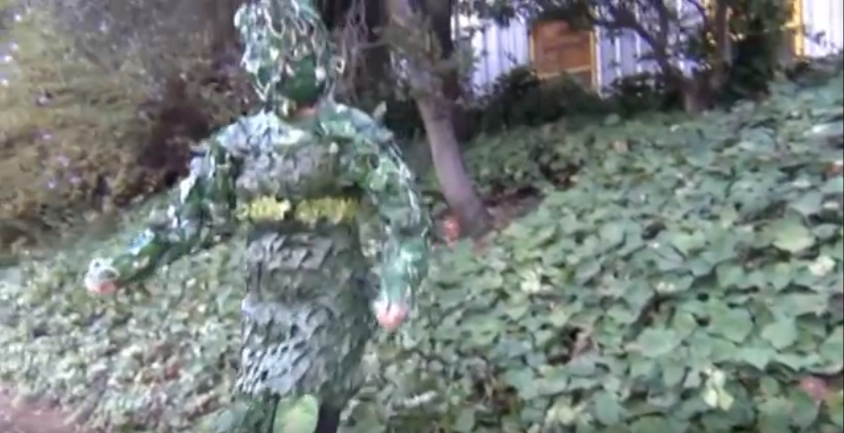 campus camo still.png