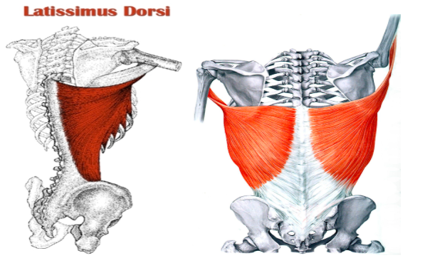 Tucson Physical Therapy