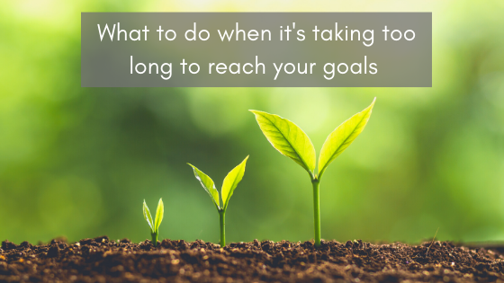 Tucson Personal Trainer