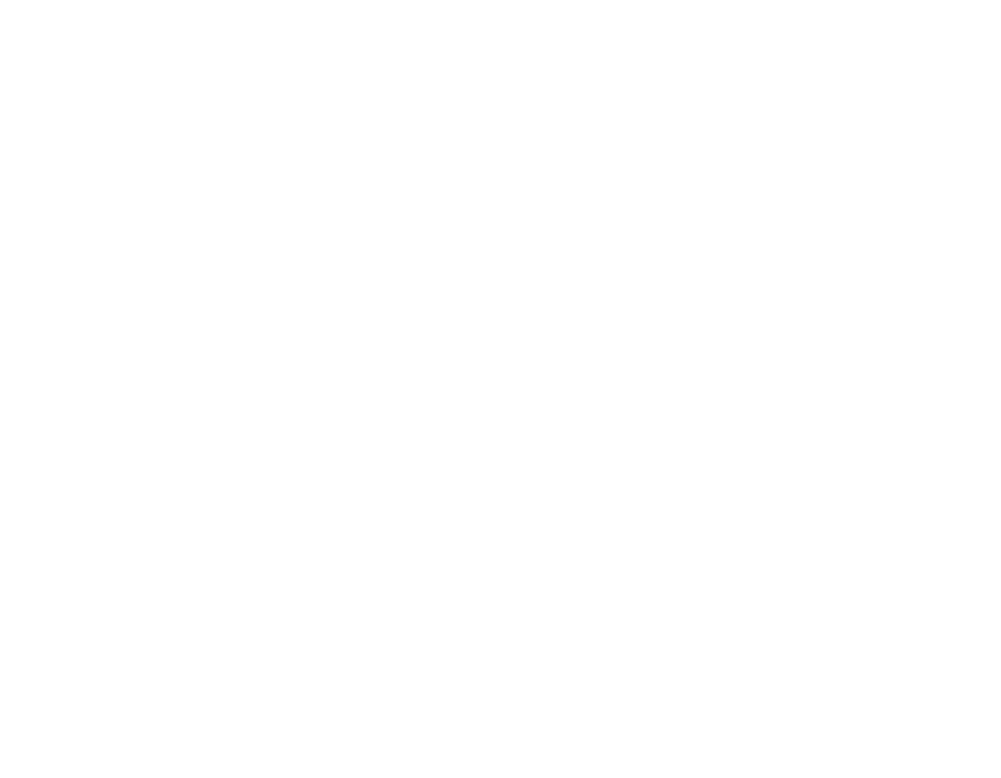 WHITE-LOGO-ANINHA-OFICIAL-PLAIN-ONE-COLOR.png