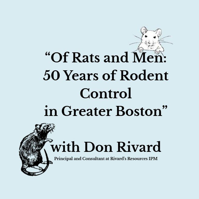 Of Rats and Men: 50 Years of Rodent Control in Greater Boston