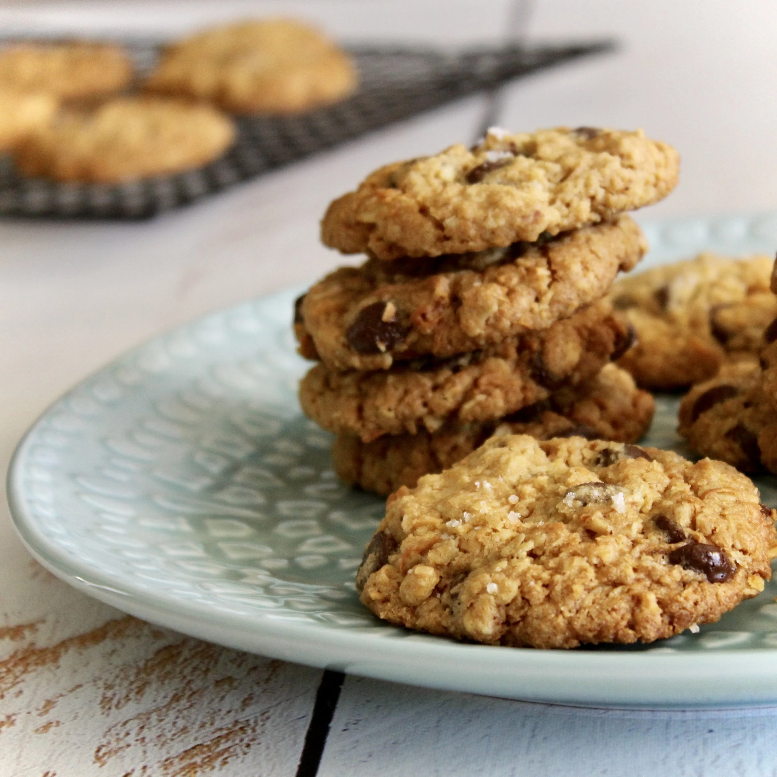Oaty Choc Chip &amp; Coconut Biscuits