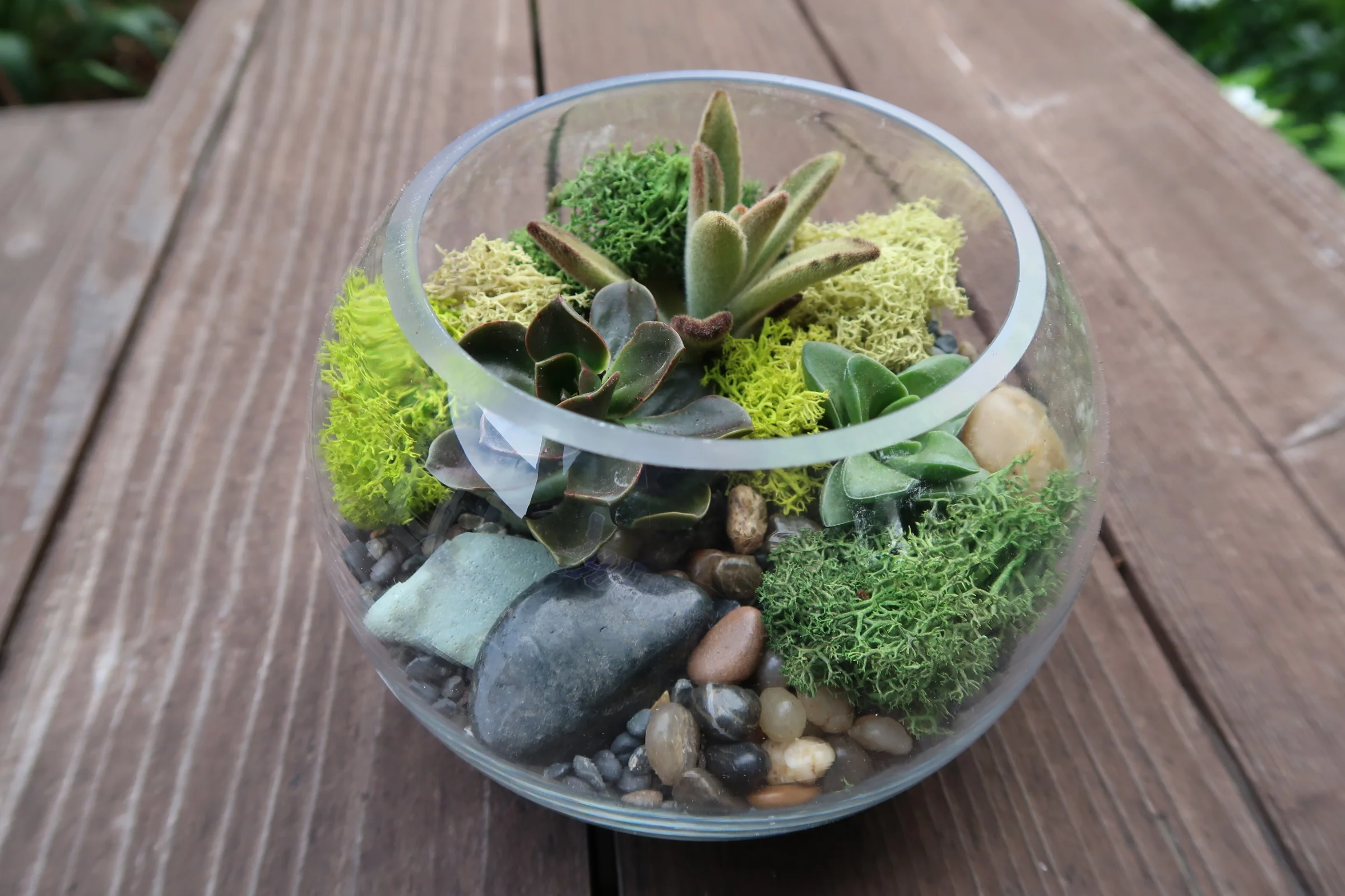 Genardini-Canepa Planting party