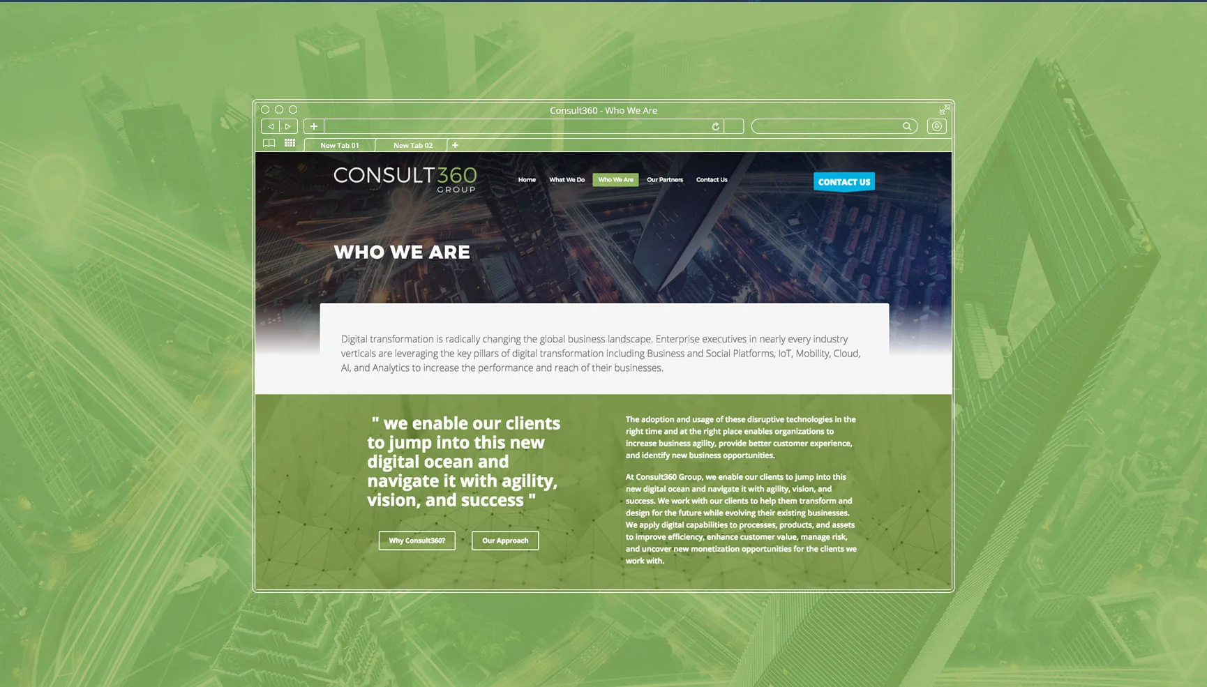 Consult360_Other-page3.jpg