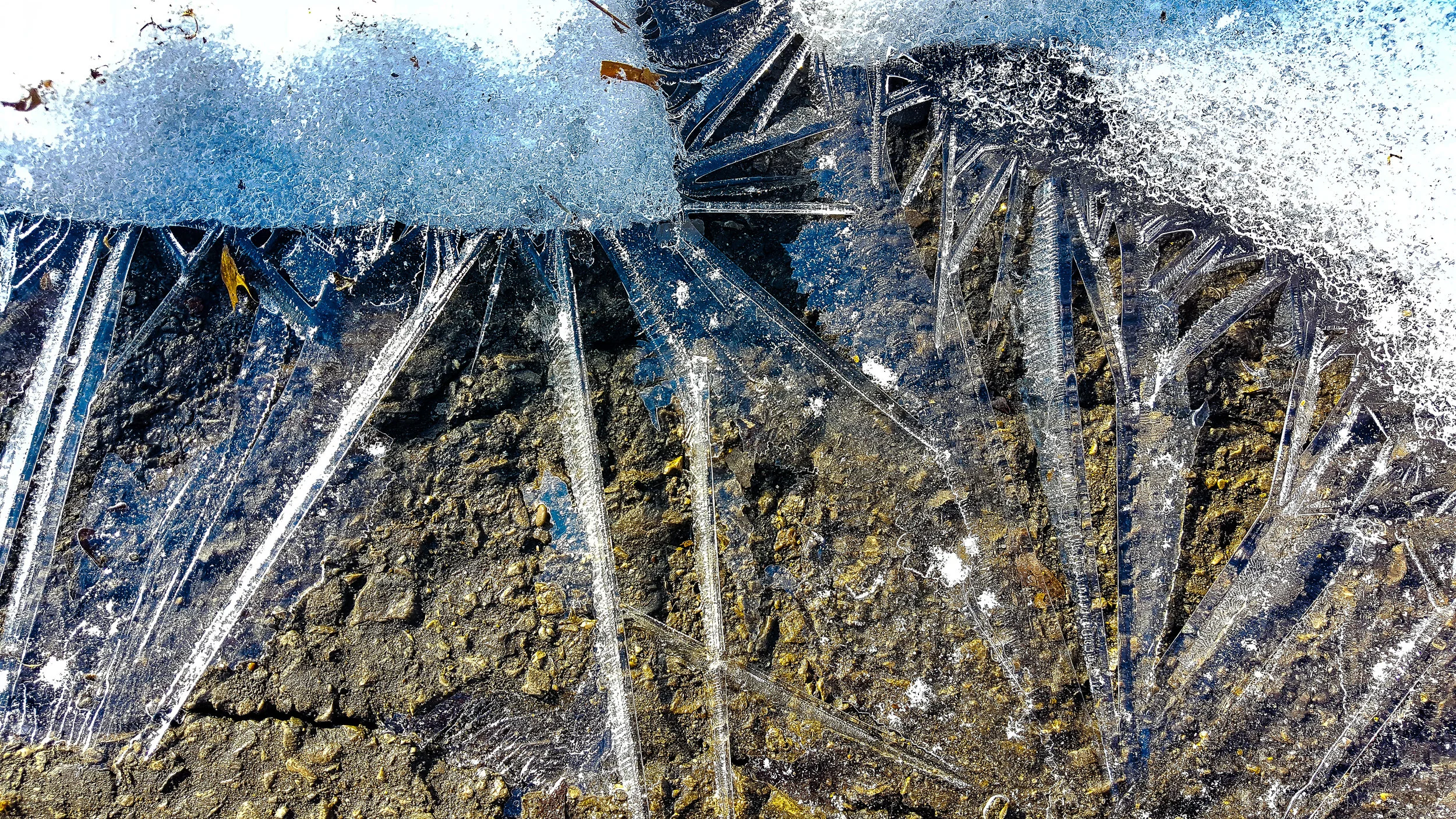 20190322_101857.jpg