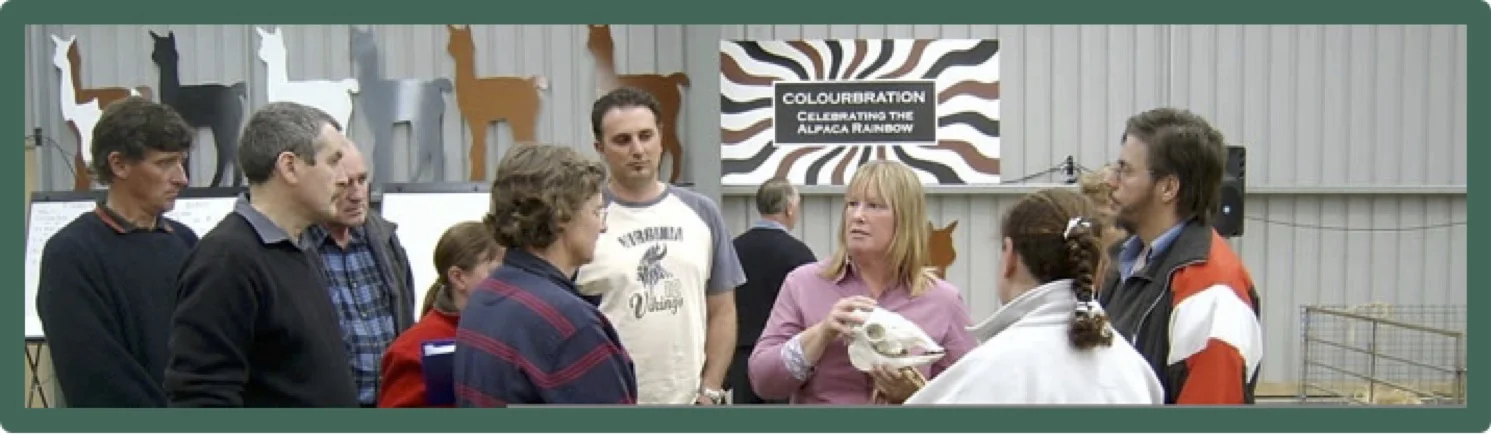 Framed Colourbration.jpg