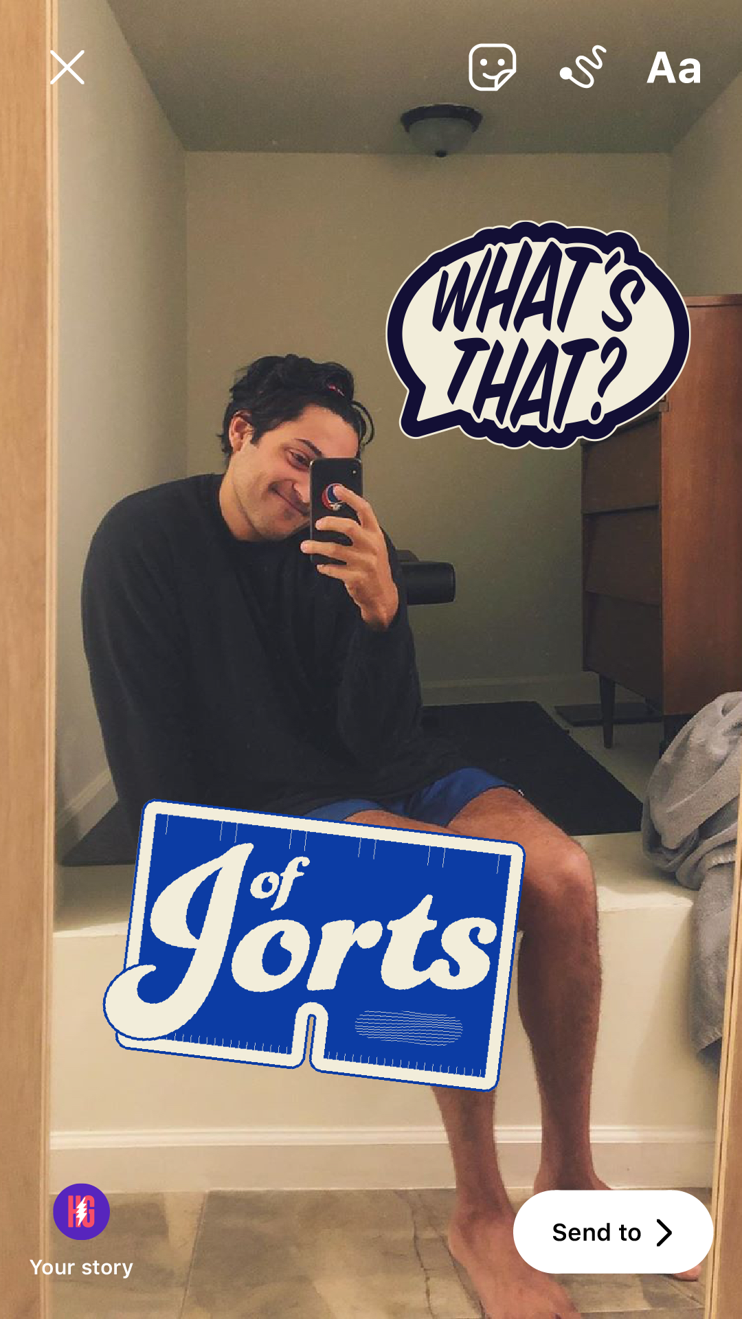 Story_What's That Jorts.png