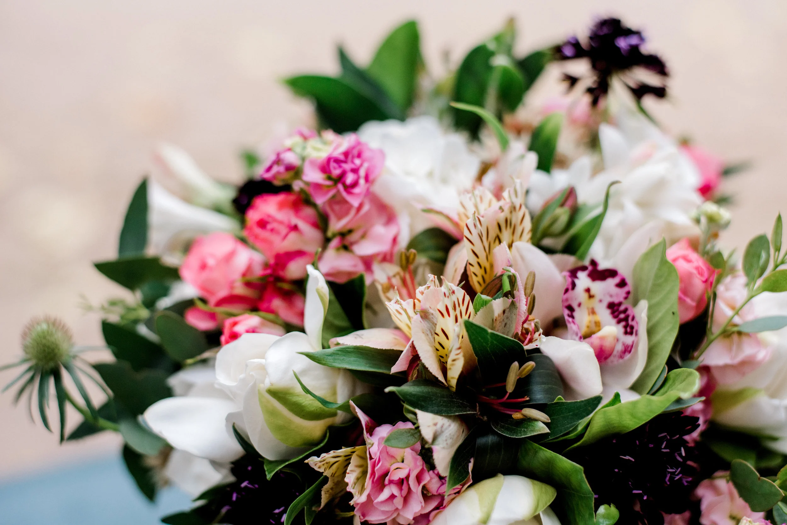 Wedding Dress-0001.jpg