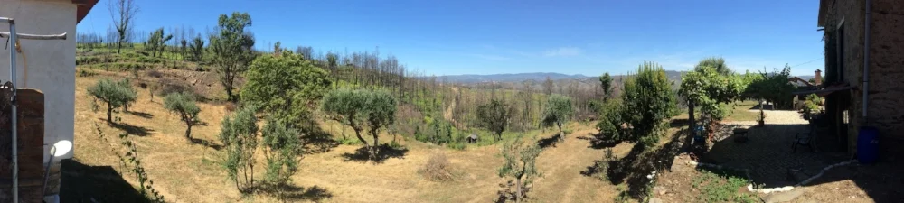 One Year On From the Wildfires in Portugal