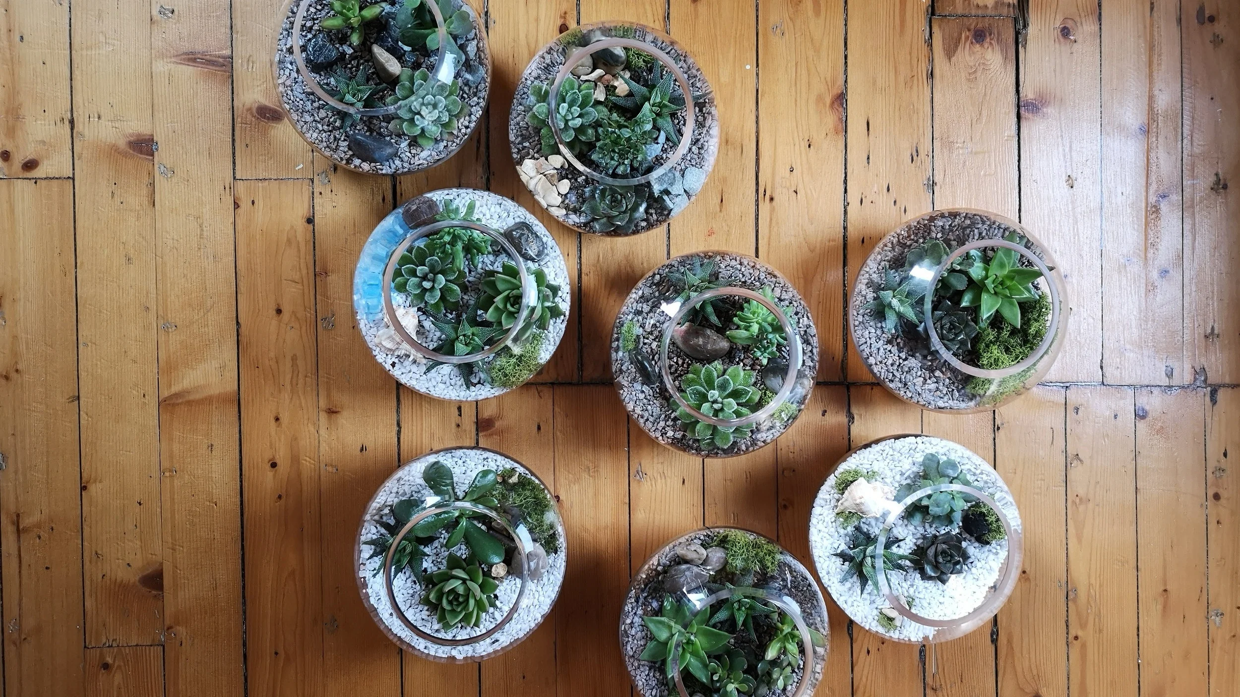 BoyesBotanicsWorkshop3.jpg